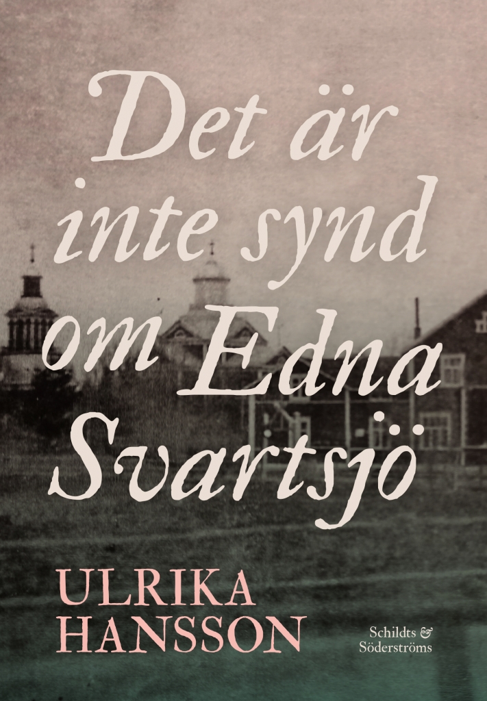 Ulrika Hanssonin romaanin Det är inte synd om Edna Svartsjö kansikuva.